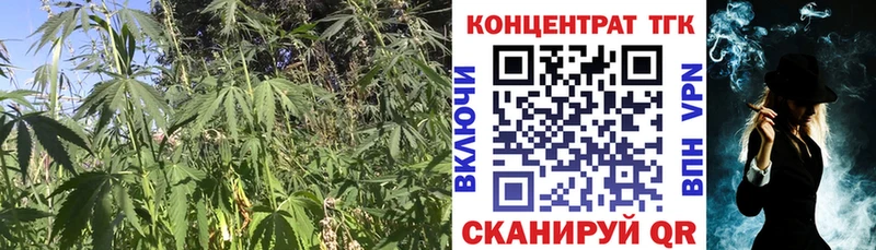 ТГК Wax  площадка состав  Ахтубинск 