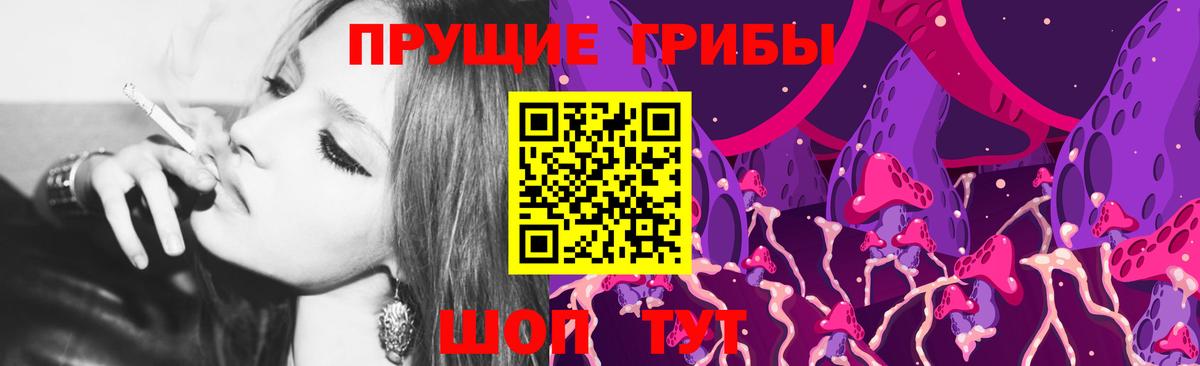 Псилоцибиновые грибы Psilocybe  Вход с VPN  Ахтубинск 