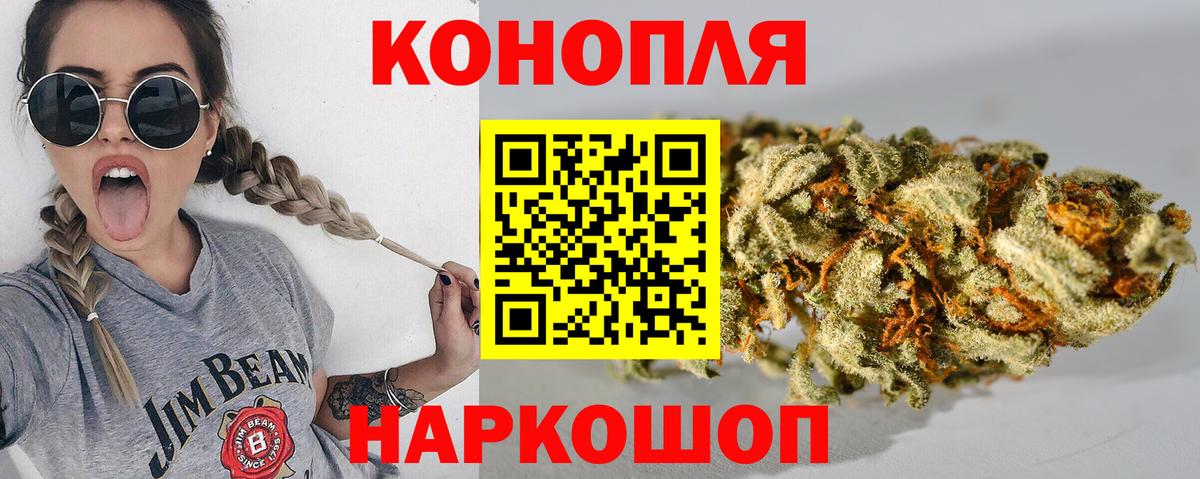Конопля сатива Ахтубинск